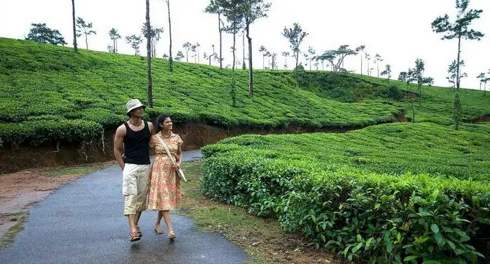 Life Giving Journey