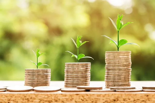 What is Money Money Growth