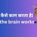 Brain How the Mind Works. दिमाग कैसे काम करता है