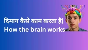 Brain How the Mind Works. दिमाग कैसे काम करता है
