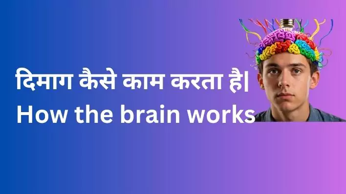 Brain How the Mind Works. दिमाग कैसे काम करता है