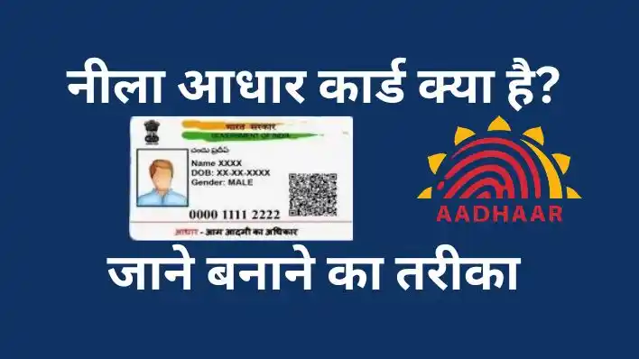 What is a Blue Aadhaar Card